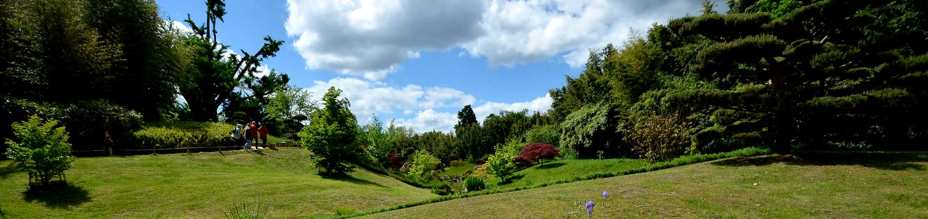 Camping les Fauvettes – Between Gard and the Cévennes